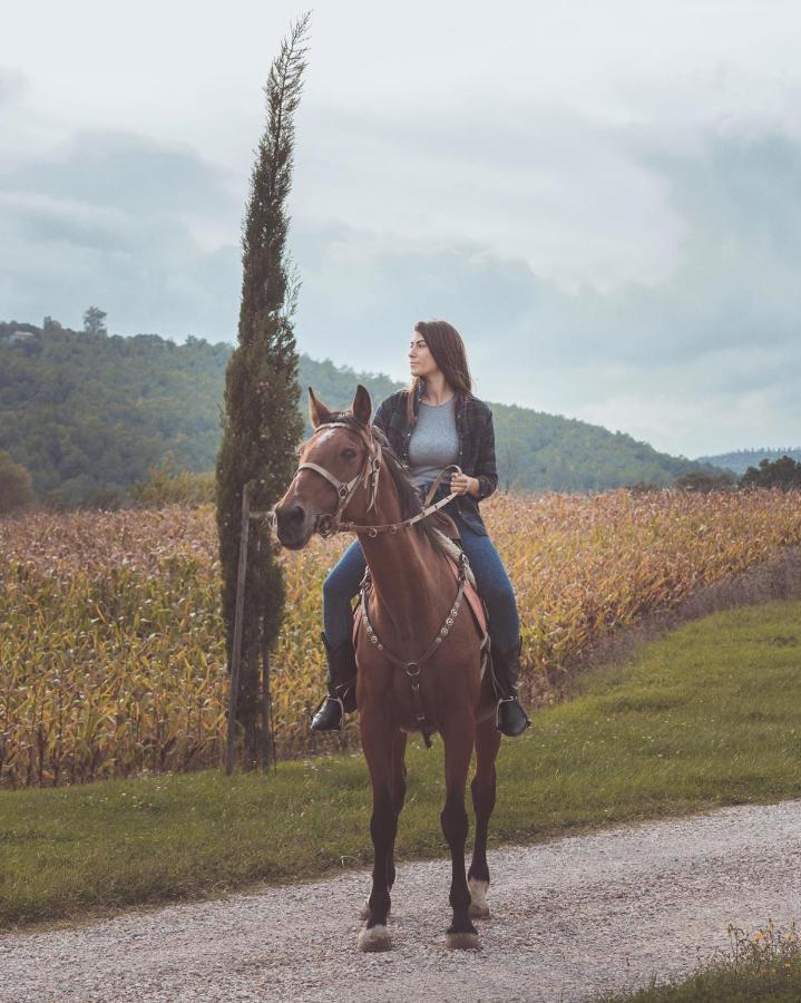 Agriturismo Querceto Mocaiana Εξωτερικό φωτογραφία