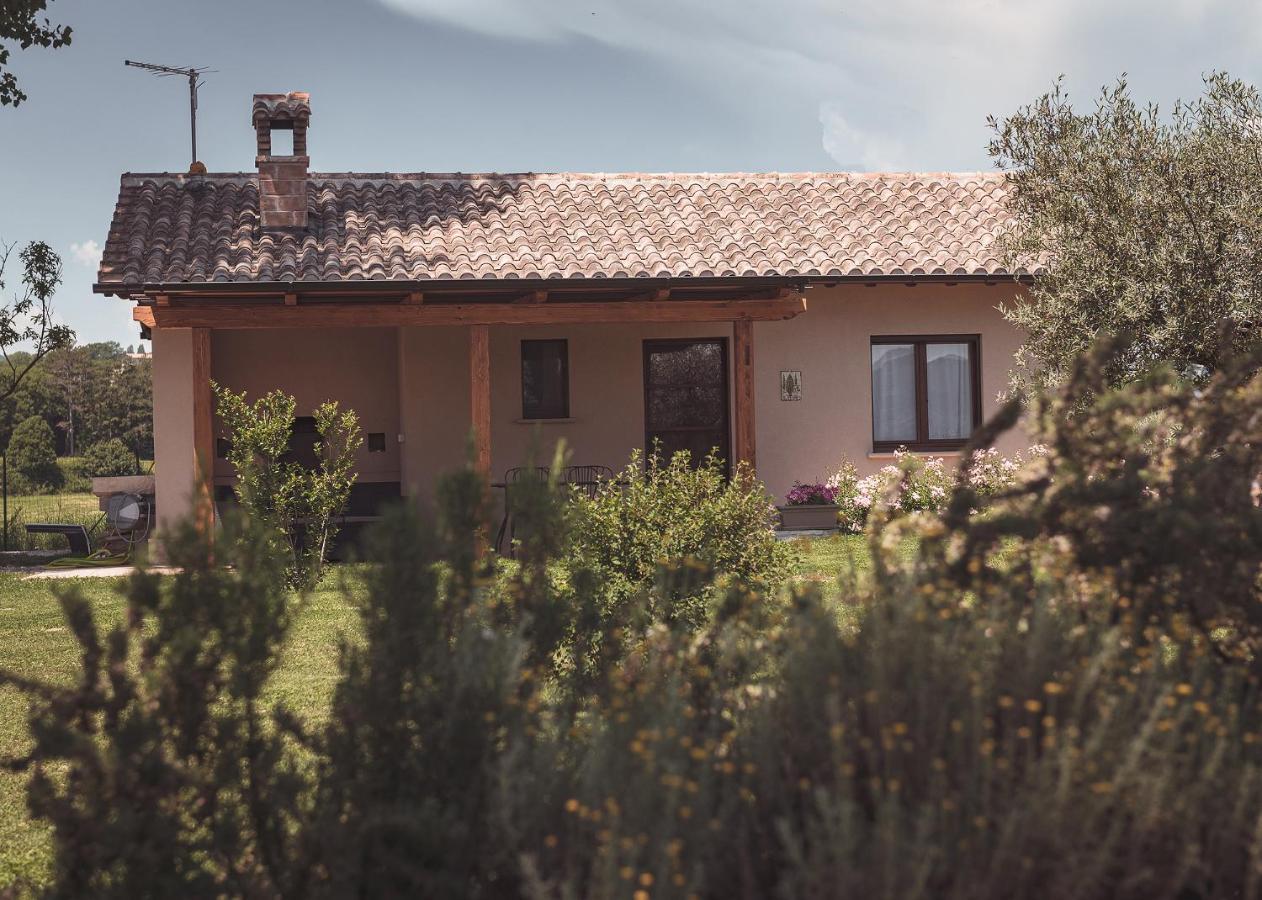 Agriturismo Querceto Mocaiana Εξωτερικό φωτογραφία